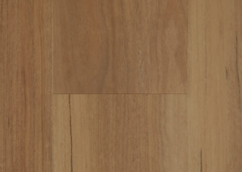 Classic Spotted Gum